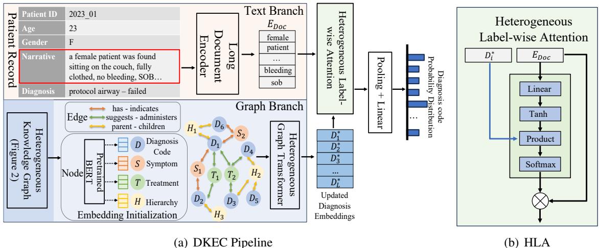 Figure 1: (a) DKEC Pipeline includes three main modules: a text branch to derive text embeddings, a graph branch to derive updated diagnosis embeddings, and (b) an HLA module to derive label-attentive document embeddings.