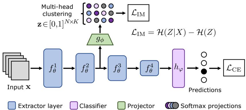 Figure 2 shows the ClusT3 architecture. The main network consists of a feature extractor and a classifier, trained with a standard cross-entropy loss. In parallel, one or more lightweight projectors are attached to the feature extractor. These projectors are trained with an Information Maximization loss to cluster the features.