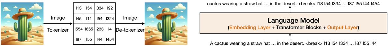 图示说明了图像到文本的生成过程。左图: 图像被 Token 化为网格。右图: 语言模型架构，显示了嵌入层和输出层。
