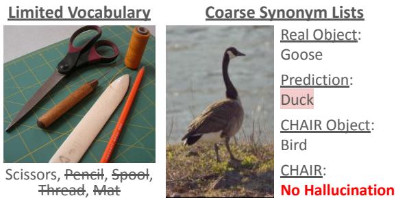 CHAIR 的局限性 vs OpenCHAIR。