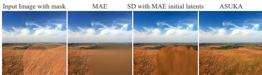 Comparison showing why MAE alone or simple initialization is insufficient.