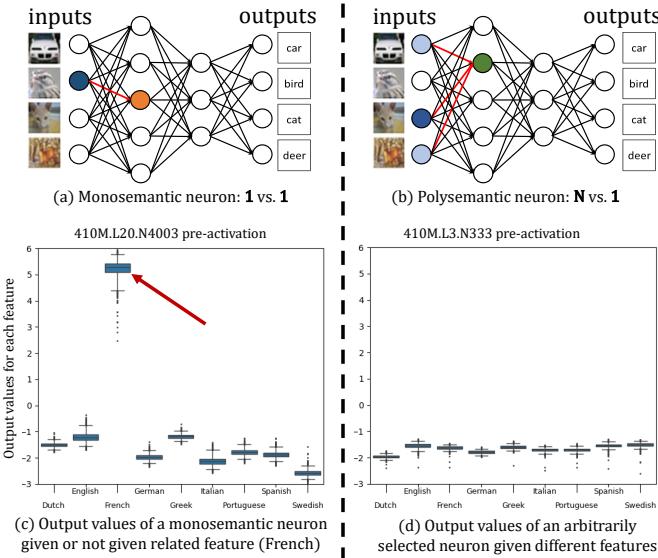 比较一个仅对单一特征 (“法语”) 激活的单义神经元和一个对多个相关特征激活的多义神经元的图表。下方是每种情况的激活图。