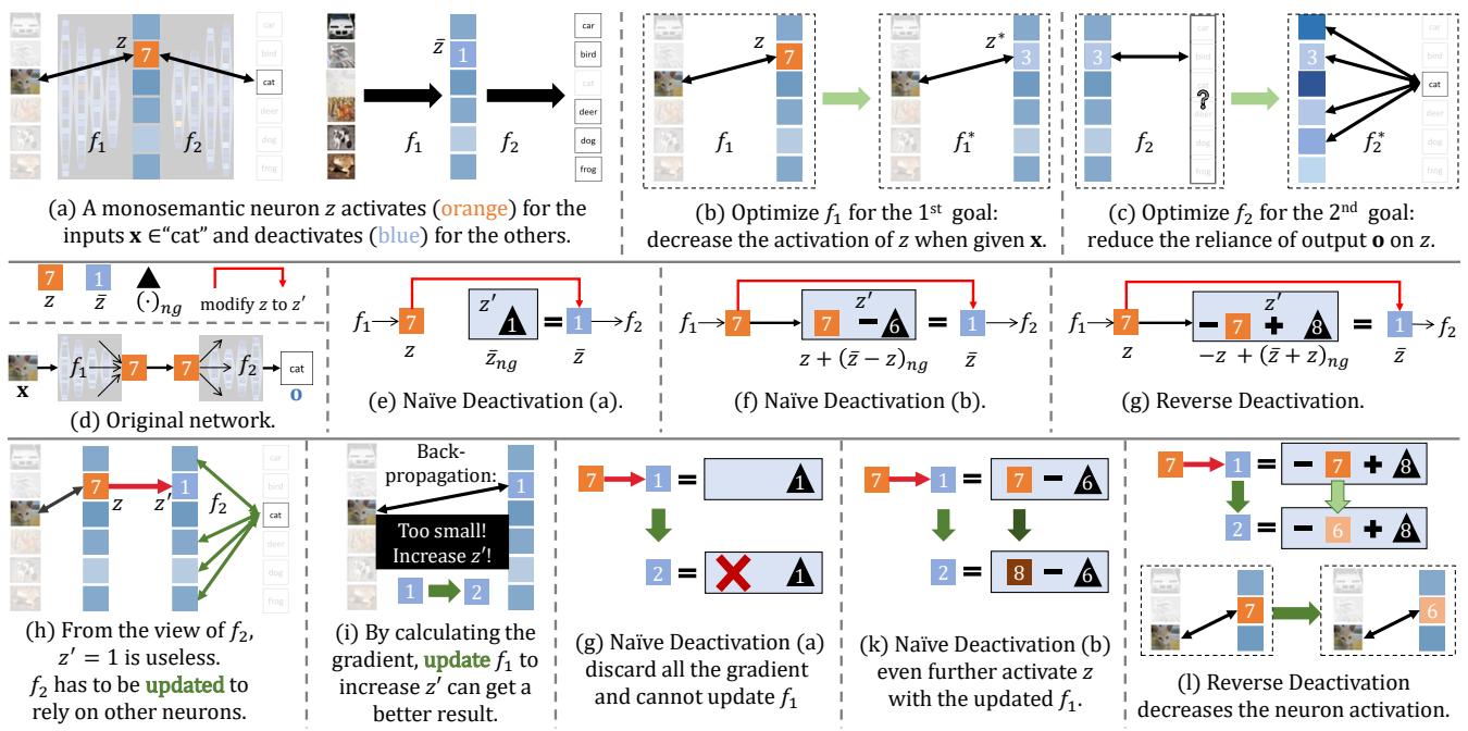 图表显示朴素失活如何加剧单义性，以及反向失活如何修正。