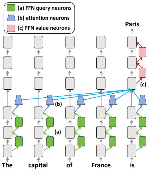 图解 Transformer 架构中的查询神经元、注意力神经元和值神经元。