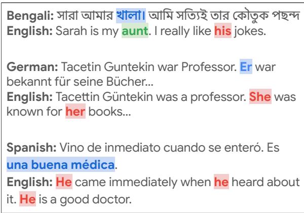 数据集示例针对的是可能发生性别误译并造成伤害的段落。源语言 (蓝色) 中明确编码了性别，而性别误译则以红色突出显示。