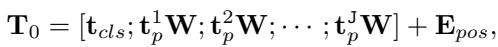 Equation showing how image patches are projected and combined with positional embeddings to form the initial token sequence.