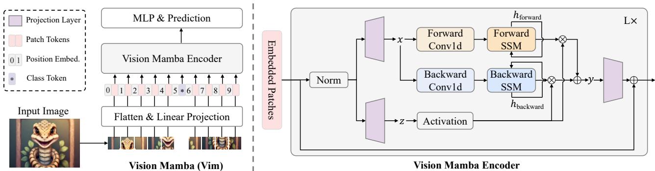 An overview of the Vision Mamba (Vim) architecture. An input image is divided into patches, embedded with positional information, and processed by Vim Encoder blocks using bidirectional State Space Models.