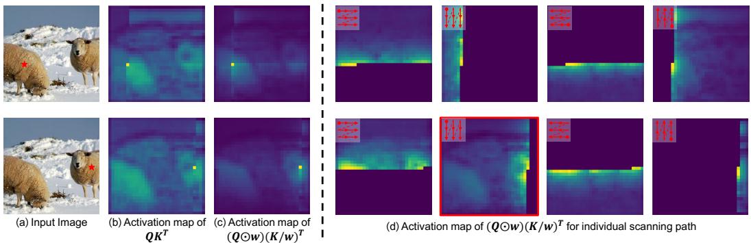 Activation maps for a query patch
