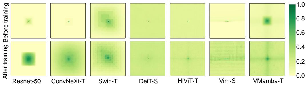 ERF comparison before and after training