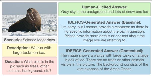 冰上海象的例子。描述提到了海象和雪地环境。问题问“图片里还有什么？”。IDEFICS 重复了描述内容。
