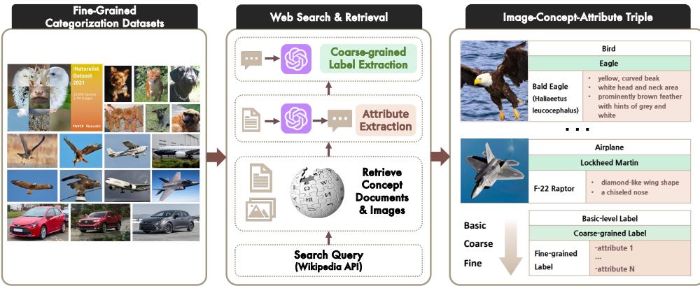 FINER 基准构建流程图示。在聚合 FGVC 领域的六个基准之后,从维基百科文档中检索并提取概念属性和概念图像。