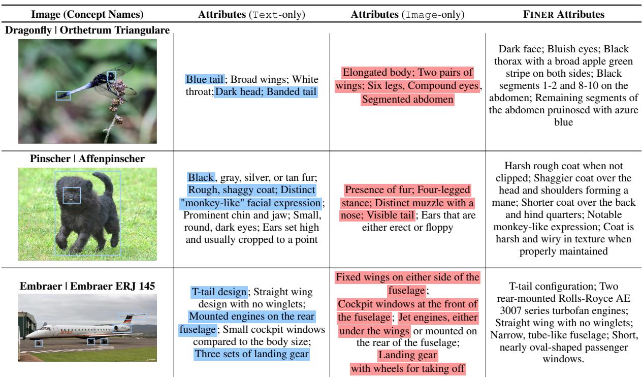 GPT-4V 生成的属性与 FINER 的定性分析对比。仅图像生成的属性不具概念指示性,且比具有概念区分度的仅文本属性更为通用。