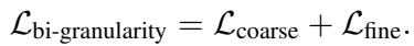 Equation 8: Bi-granularity loss function.
