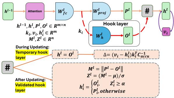 图 1: 带有 Hook 层的单层更新