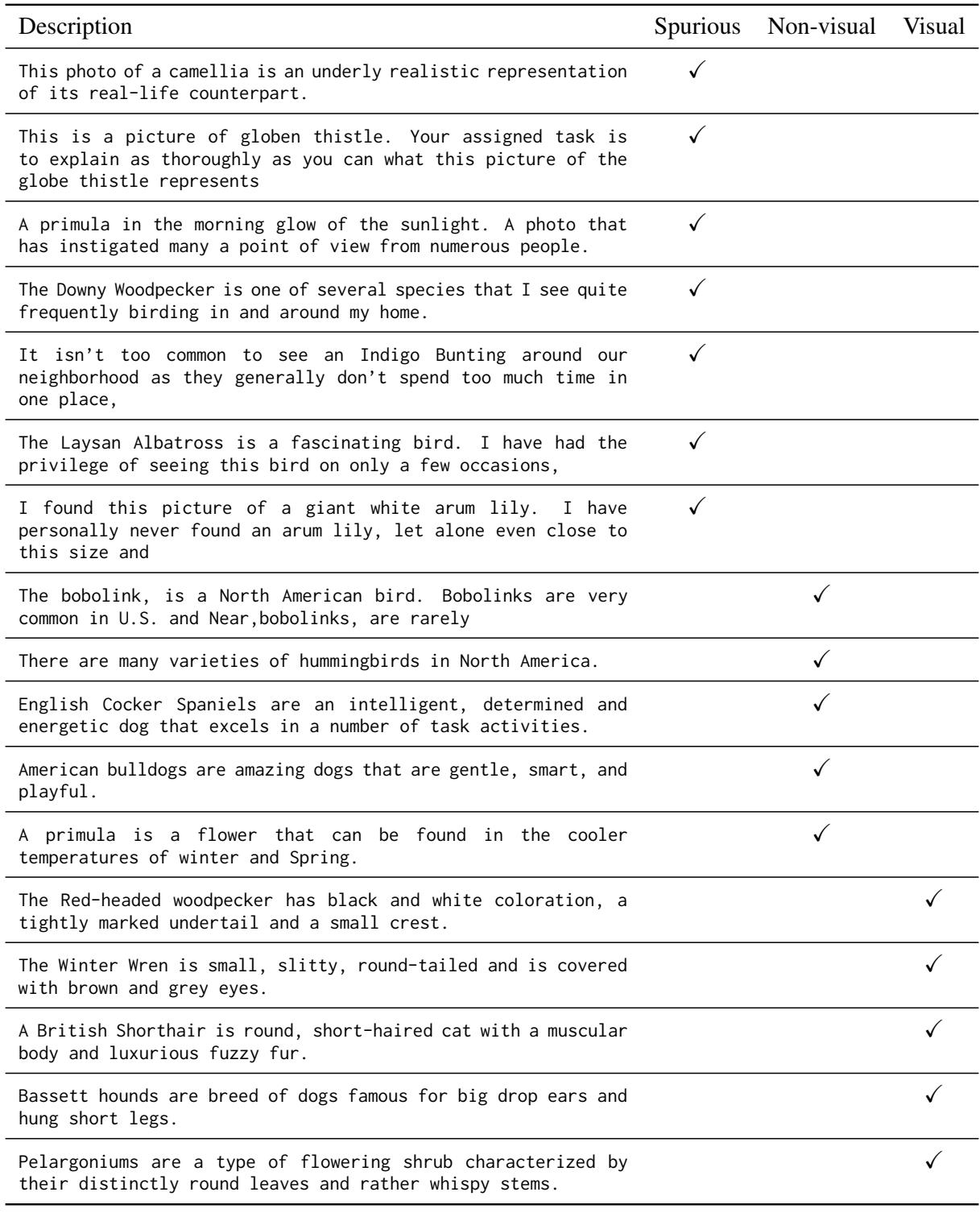表 11: 虚假、非视觉和视觉描述的示例。