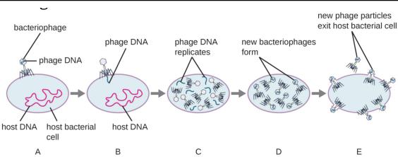 图 3 可视化示例: 一张美国东海岸地图。视觉表明确列出了涉及的州，使模型能够正确识别高亮显示的殖民地。