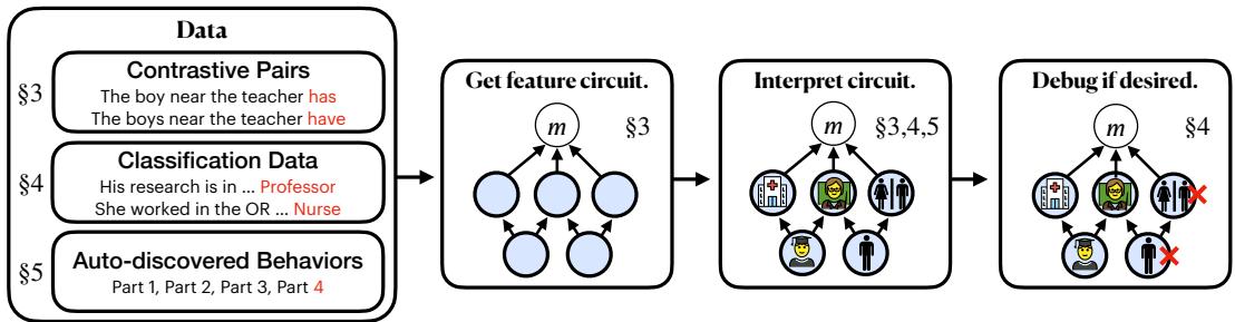 论文工作流程概览。该过程从数据开始,找到特征回路,让人类进行解释,最后允许对回路进行调试或编辑。