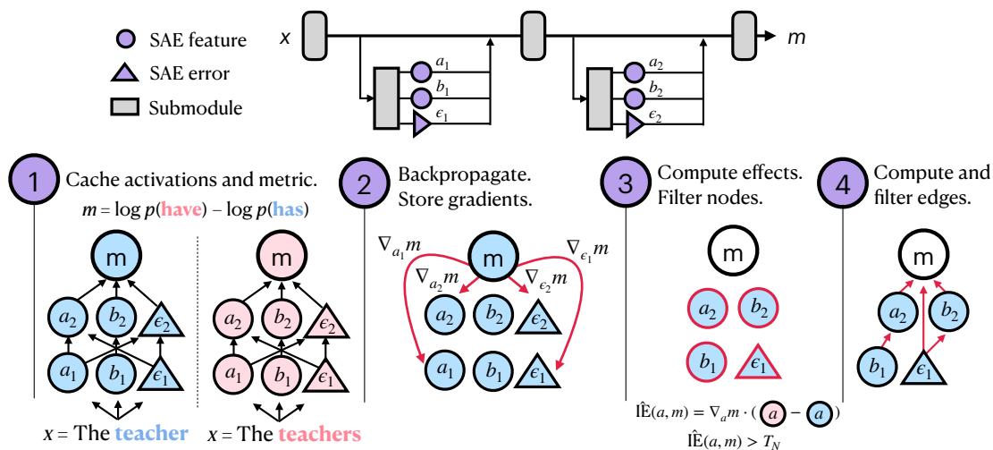 回路发现方法概览。步骤 1 缓存激活,步骤 2 反向传播梯度,步骤 3 根据效应筛选节点,步骤 4 计算并筛选剩余节点间的边。