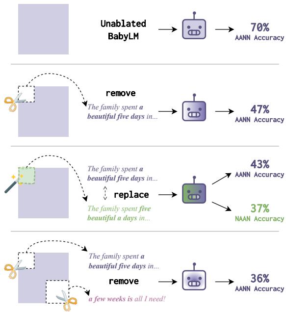 该图展示了四个阶段，演示了修改输入文本如何影响 BabyLM 模型处理 AANN 的准确性。