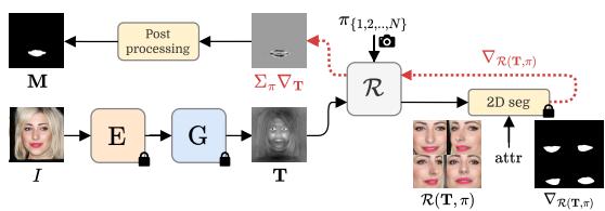 Diagram showing the triplane part localization stage. Gradients from a 2D segmentation model are back-propagated to the triplane.