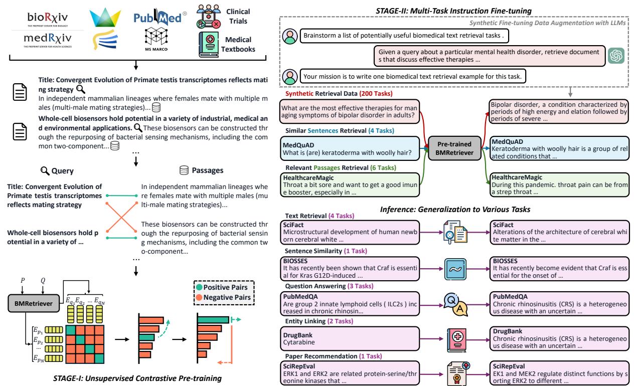 图 2: BMRETRIEVER 两阶段预训练框架概览。第一阶段在大规模生物医学查询-段落对上进行无监督对比预训练，第二阶段使用包括 LLM 生成的合成示例在内的多种标记数据进行指令微调，以使 BMRETRIEVER 适应各种生物医学下游任务。
