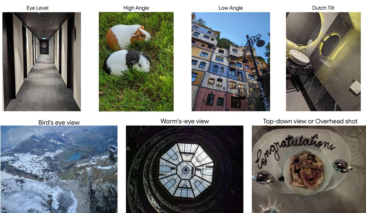 标注指南中不同摄像机角度的示例。