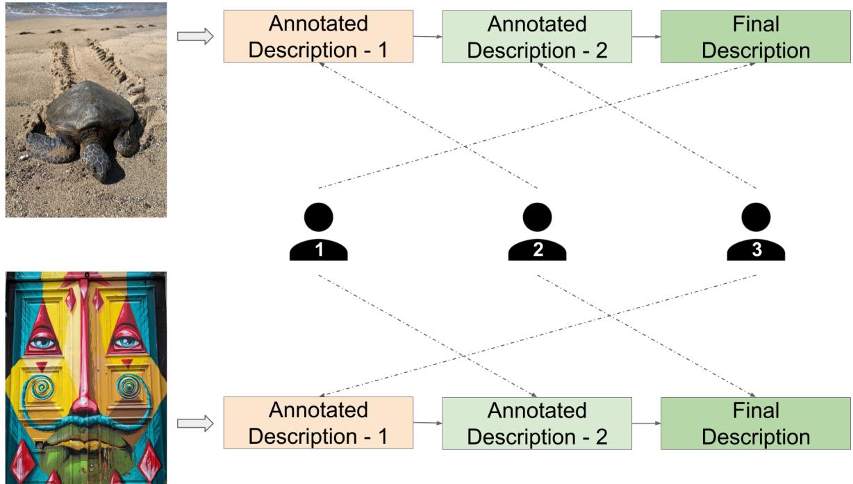 图解展示标注者如何在顺序轮次中互相学习。