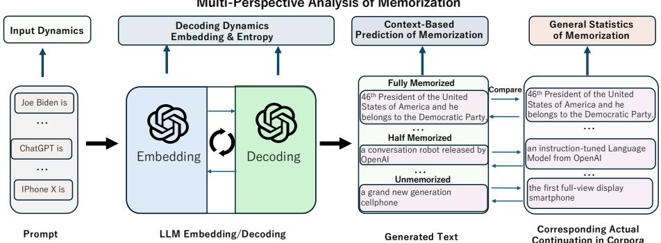展示从提示词到输入动力学、解码动力学和预测流程的多视角记忆分析图。
