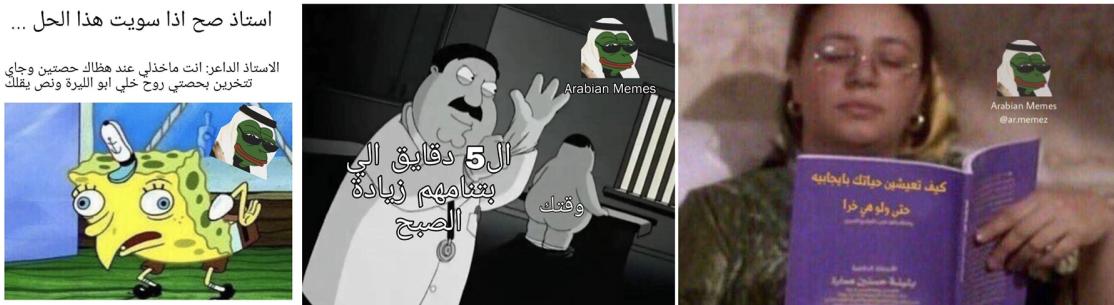 Figure 14: Examples of images labeled as other.