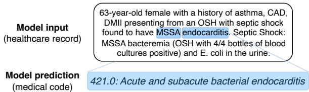 图 1: 输入、预测以及在输入中高亮显示的特征归因解释示例。