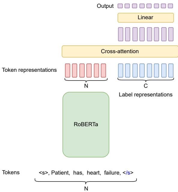 图 5: 我们在实验中使用的 PLM-CA 架构。