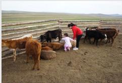 图 11 显示了数据聚类的示例。