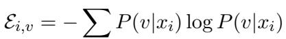 Entropy equation