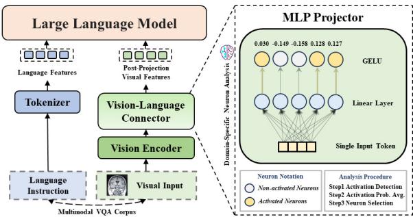 我们提出的 MM-Neuron 方法的整体框架。