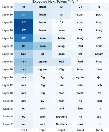 InstructBLIP 在 PMC-VQA 上的 Logit Lens 案例研究。
