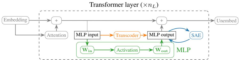 一张图表，展示了信息在 Transformer 层中的流动，突出了注意力和 MLP 的并行路径，并对比了 SAE 和 Transcoder 的作用。