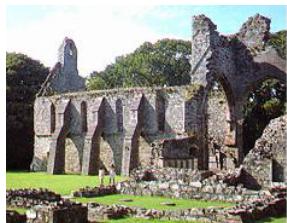 图 6: 代表性图像的 BLIP-2 生成属性标签可视化。