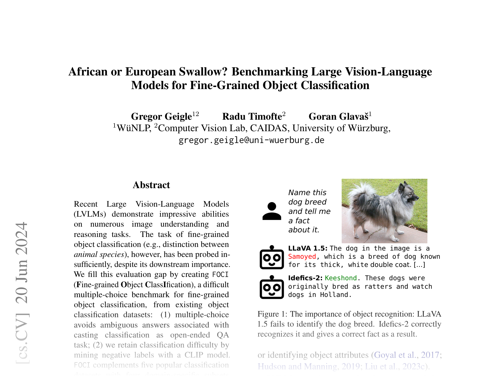[African or European Swallow? Benchmarking Large Vision-Language Models for Fine-Grained Object Classification 🔗](https://arxiv.org/abs/2406.14496)