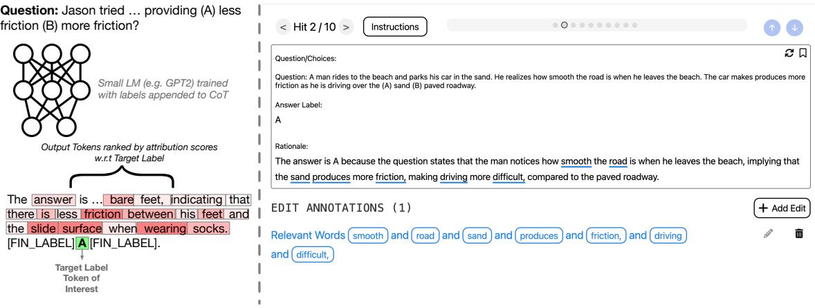 图 5: 归因方法的比较: 左侧是我们通过积分梯度进行的自动提取，而右侧显示了人类标注者认为相关的单词。