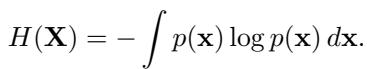 Differential entropy definition.