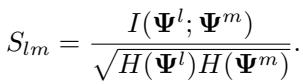 Normalized similarity score equation.