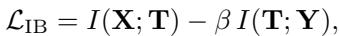 Information Bottleneck objective function.