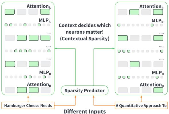 Contextual sparsity diagram showing different pathways for different inputs.