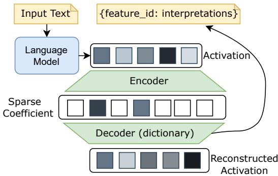 一张展示稀疏自编码器架构的图表。输入文本被送入语言模型,模型生成一个激活向量。此激活被编码为稀疏系数,再解码重构原始激活。目标是从中找到可解释的特征。