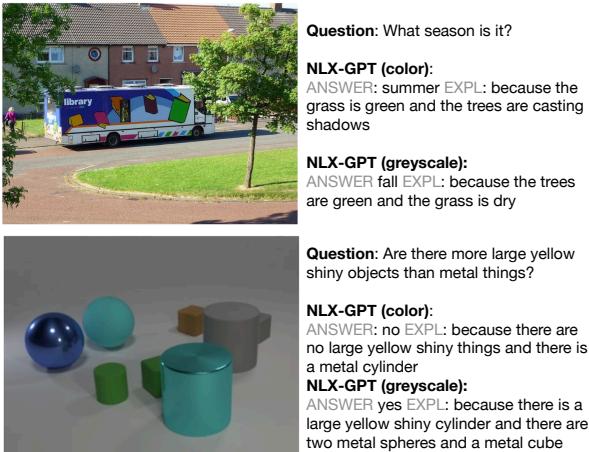 VQA-X 和 CLEVR-X 项目示例,显示了彩色和灰度输入下的答案和解释。