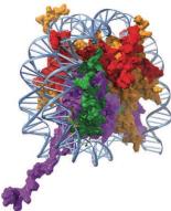 Figure 5: Qualitative evaluation of methods w and w/o preference revelation.