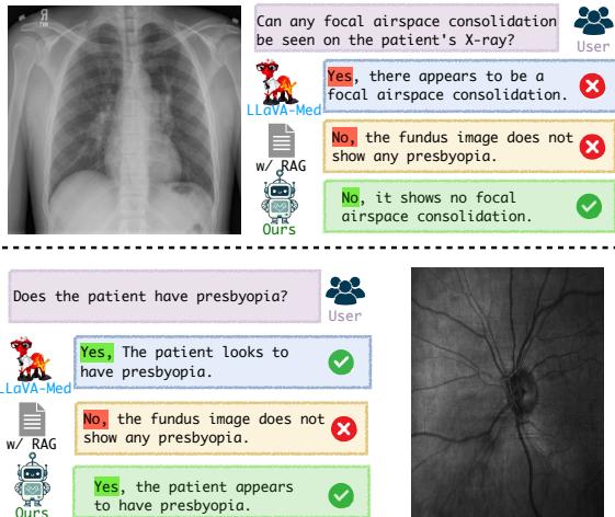 Figure 5: Case studies in radiology and ophthalmology.