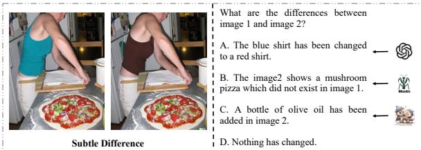 图 3: 细微差异任务的一个定性案例，由于有限的细粒度感知能力，开源 MLLMs 显示出较差的性能。