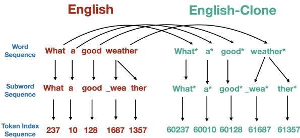 图 3: English-Clone 创建过程示意图。