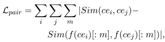 Equation for Pairwise Similarity Loss